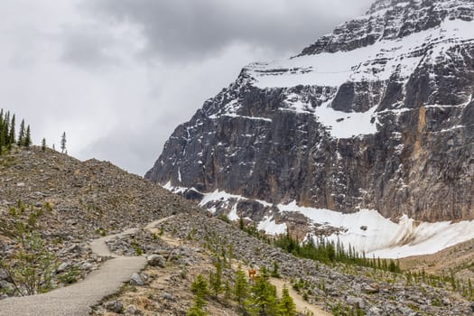 A hiking trail winds through the treeline in the  Rocky Mountains - Jasper National Park, Alberta, Canada