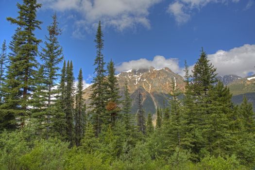Rocky Mountains and boreal forest in summer- Jasper National Park, Alberta, Canada