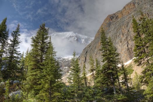 Rocky Mountains in early summer with snow-covered peak in background - Jasper National Park, Canada