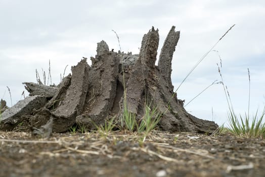 turf stacked up for the bog winds to dry in county kerry on the wild atlantic way of ireland