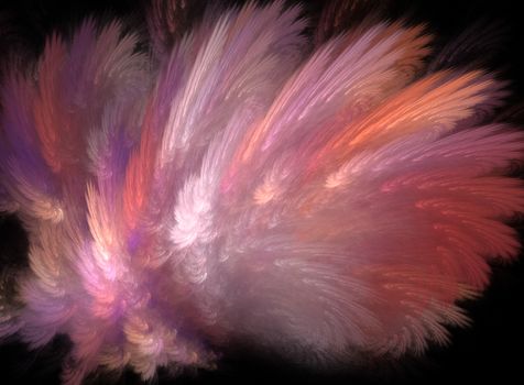 Fractal abstraction, a colorful explosion of pink feathers on black background