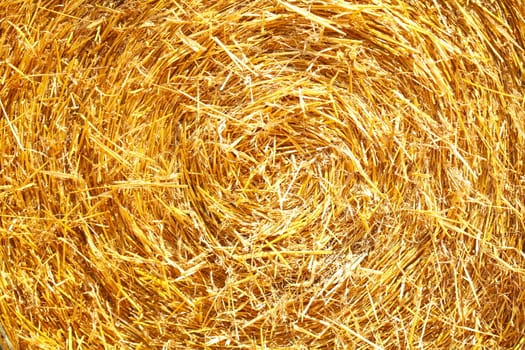 Straw Bale