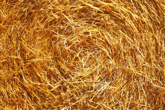Straw Bale