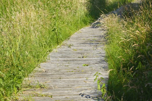Boardwalk with wooden planks and  Meadow, Deutschland