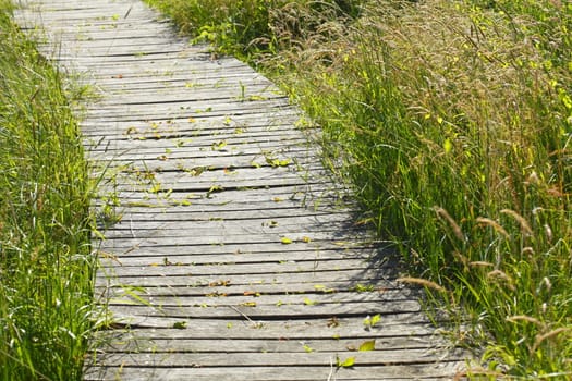 Boardwalk with wooden planks and  Meadow, Deutschland
