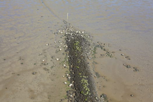 Wadden Sea