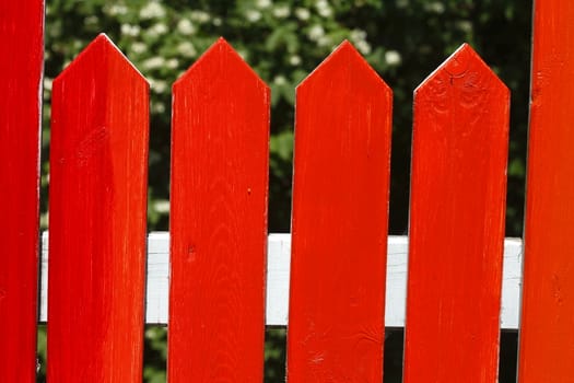 Wooden Fence