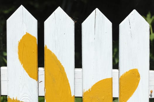 Wooden Fence