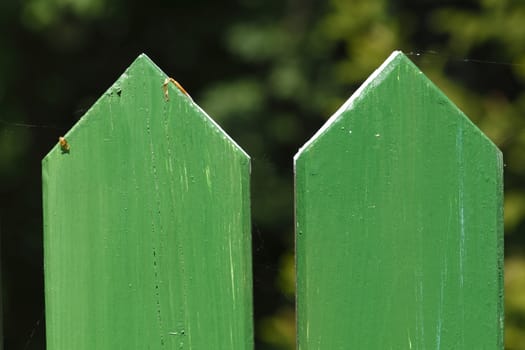Wooden Fence