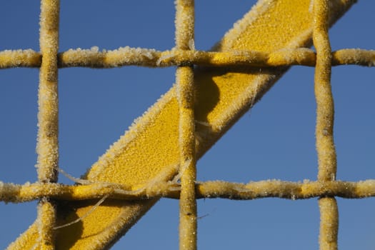 with  hoarfrost  coated  yellow metal fence