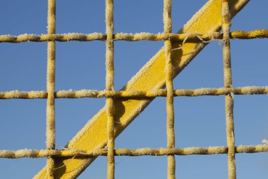 with  hoarfrost  coated  yellow metal fence