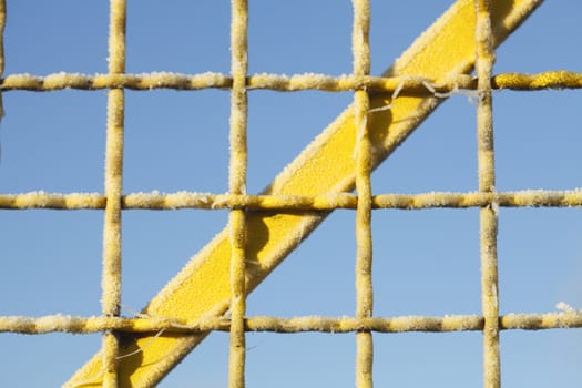 with  hoarfrost  coated  yellow metal fence