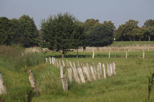 Wooden Fence