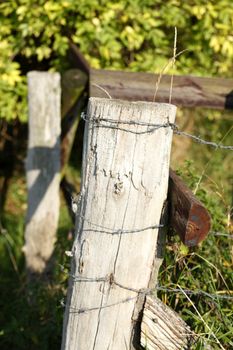 Wooden Fence
