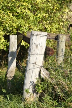 Wooden Fence