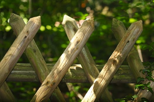 Wooden Garden Fence