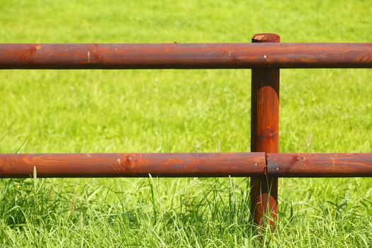 Wooden Fence