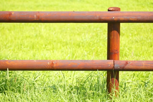 Wooden Fence