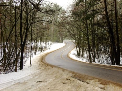 Curvy Road leading through Winter Forest in Vilnius City, Lithuania