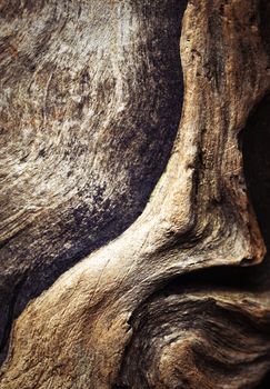 abstract background detail on weathered piece of wood