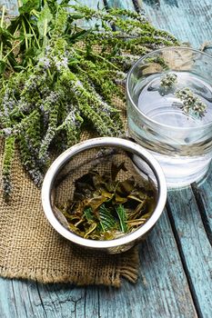 Bunch of blooming peppermint to brew herbal tea