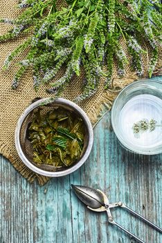 Bunch of blooming peppermint to brew herbal tea