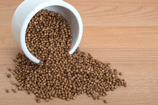 Coriander organic seeds in small white bowl on wooden cutting board