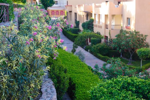 multi-storey buildings with green shrubs and flowerbeds on the territory