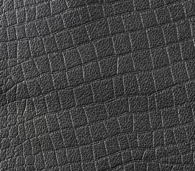 the abstract background texture of natural leather