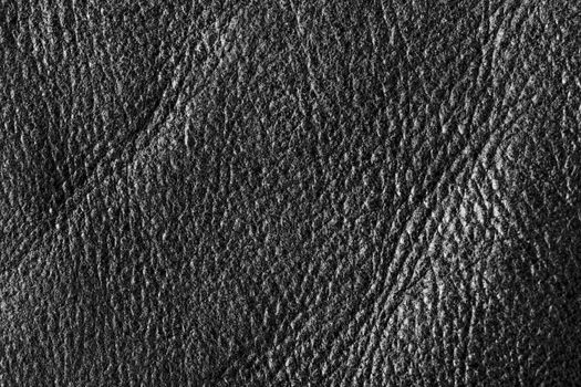 abstract background texture of natural leather sheepskin
