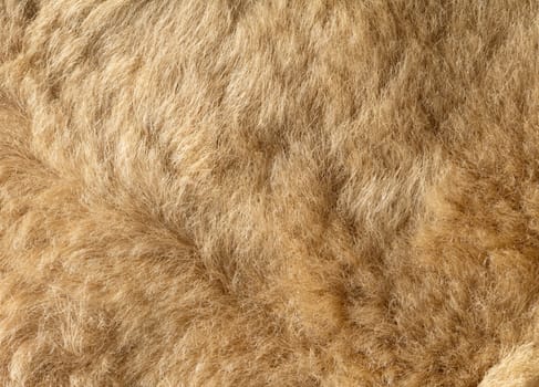 the abstract background texture of natural fur sheepskin