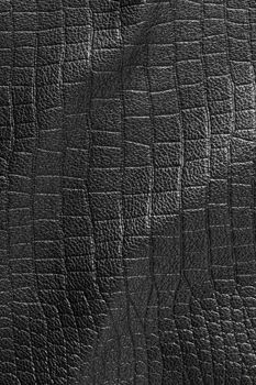 the abstract background texture of natural leather