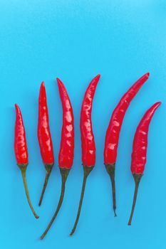 Red hot chili peppers on blue background