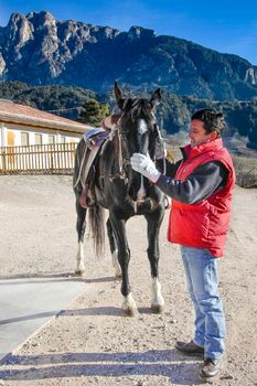 a man caress the nose of a black horse