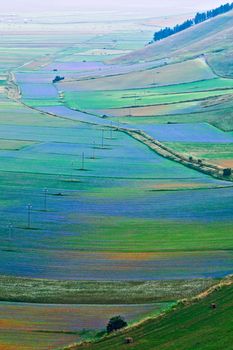 The plain of Castelluccio where are cultivated the lentils at 1400 meters above sea level
