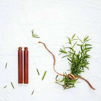 Fresh branch of rosemary  with bottle essential oil setup on white wooden table. Nature aromatherapy spa oil with flat lay on white table.