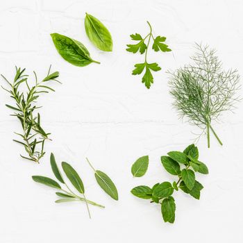 Various fresh herbs from the garden peppermint , sweet basil ,rosemary,oregano, sage and lemon thyme on white wooden background with flat lay and copy space.