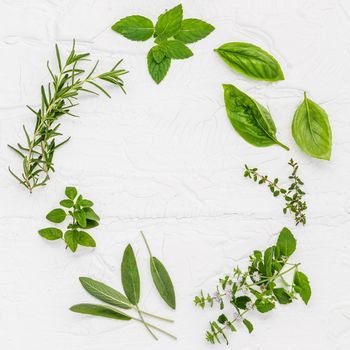 Various fresh herbs from the garden peppermint , sweet basil ,rosemary,oregano, sage and lemon thyme on white wooden background with flat lay and copy space.
