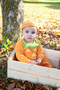 Baby girl dressed in a pumpkin halloween costume