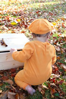 Baby girl dressed in a pumpkin halloween costume