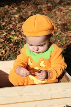 Baby girl dressed in a pumpkin halloween costume