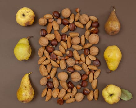 Autumn pear and nut pattern on brown background top view square