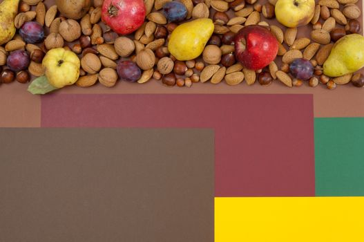 Organic autumn fruits and nuts on split background with copy space