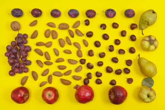 Autumn setting of organic  in shell nuts and fruits on yellow background