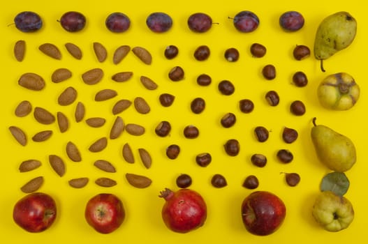 Autumn setting of organic  in shell nuts and fruits on yellow background