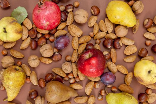 Organic autumn fruits and in shell nuts on dark brown background