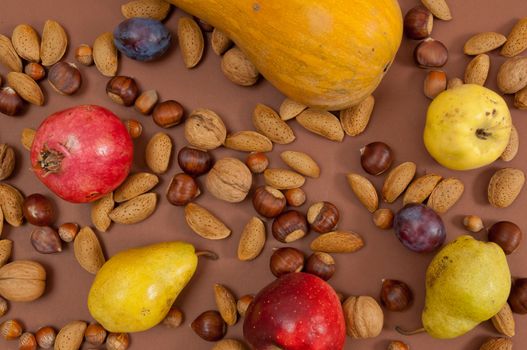 Organic autumn fruits and in shell nuts on dark brown background