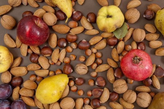 Organic autumn fruits and in shell nuts on dark brown background