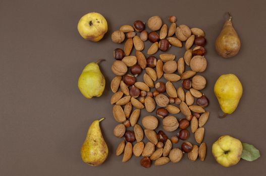 Organic autumn fruits and nuts isolated on split background with copy space