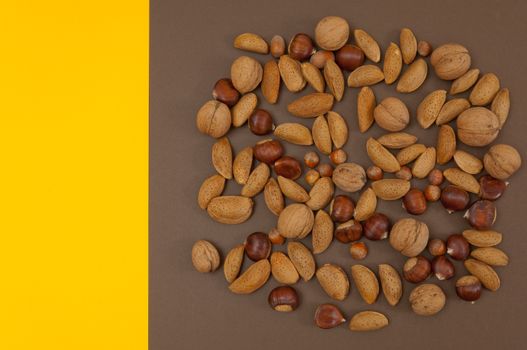 Organic autumn fruits and nuts isolated on split background with copy space